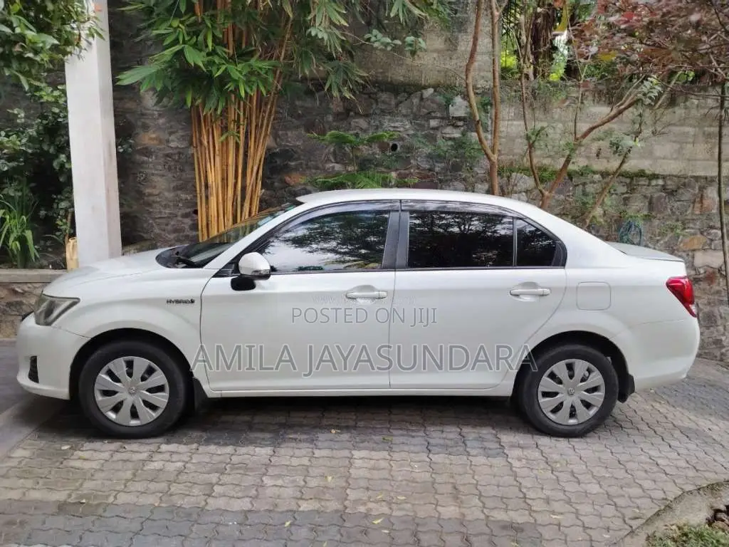 Toyota Axio 2014 Car (Used)