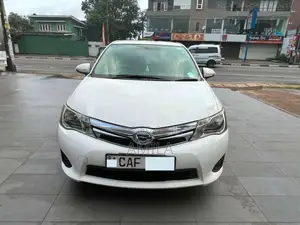 Toyota Axio 2015 Car (Used)