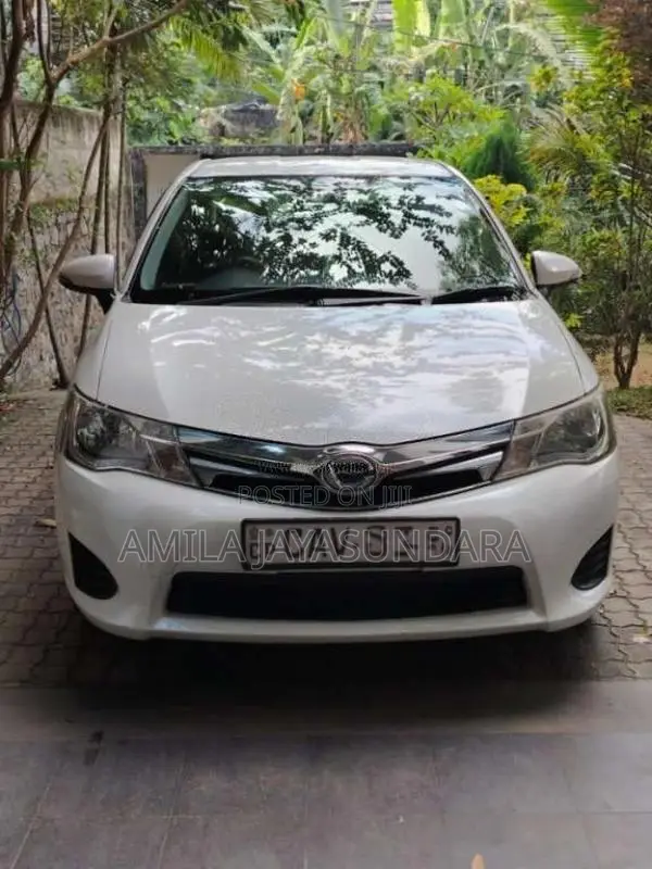 Toyota Axio 2014 Car (Used)