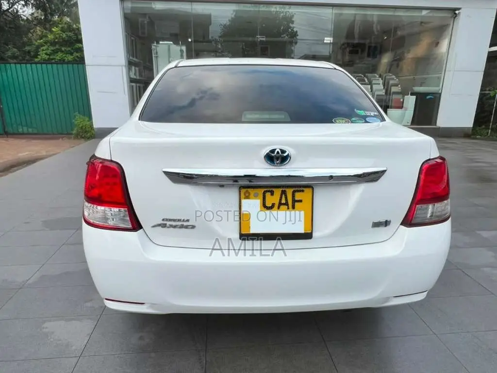 Toyota Axio 2015 Car (Used)
