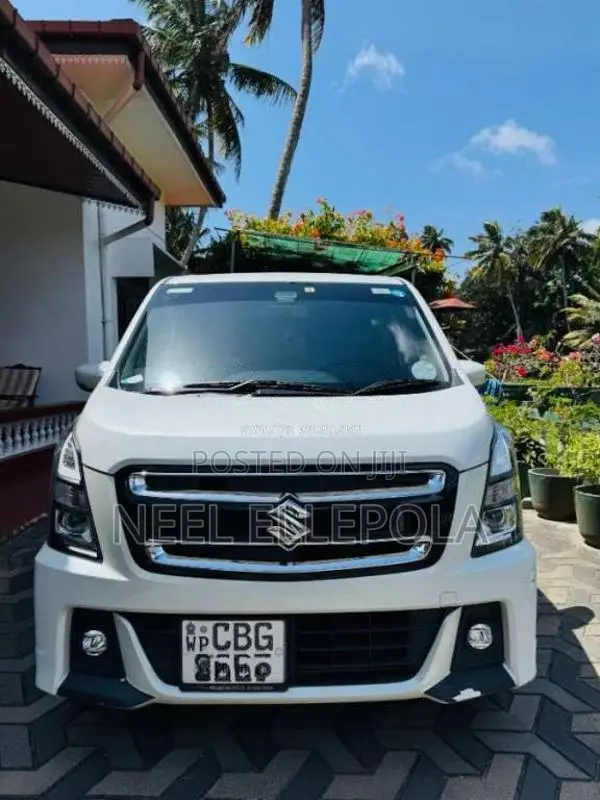 Suzuki Wagon R 2018 Car (Used)