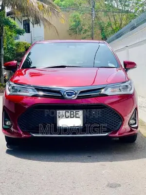 Toyota Axio WXB 2018 Car (Used)