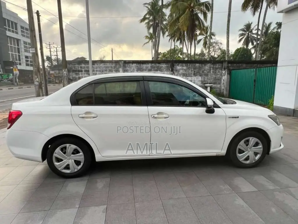 Toyota Axio 2015 Car (Used)
