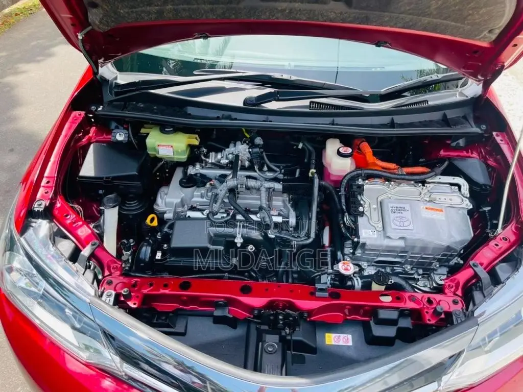 Toyota Axio WXB 2018 Car (Used)