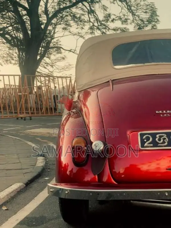 Morris Minor 1953 Car (Used)