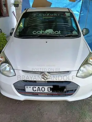 Suzuki Alto 2015 Car (Used)