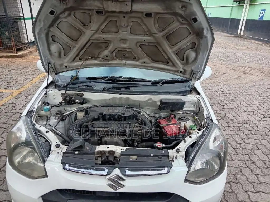 Suzuki Alto 2015 Car (Used)