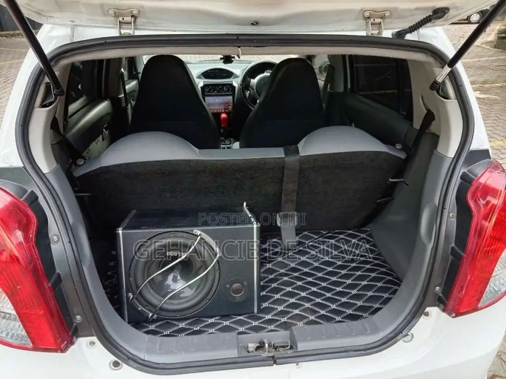 Suzuki Alto 2015 Car (Used)