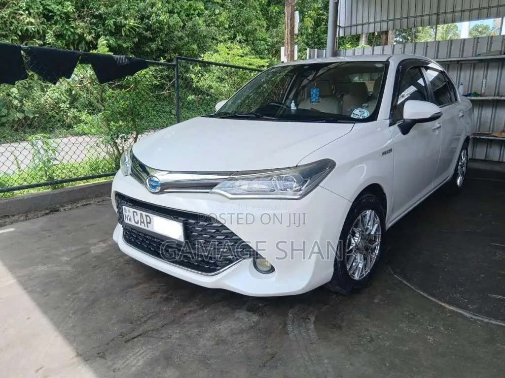 Toyota Axio 2015 Car (Used)