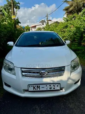 Toyota Axio X Limited 2008 Car (Used)