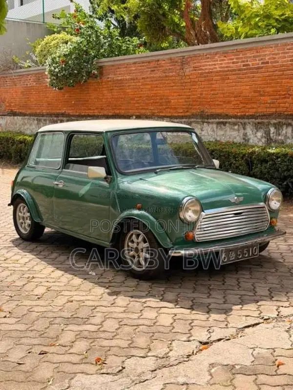 Mini Cooper EFI 1991 Car (Used)