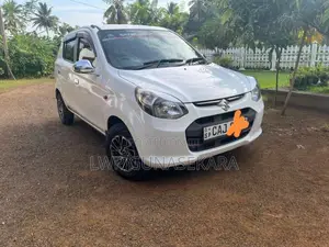 Suzuki Alto 2015 Car (Used)