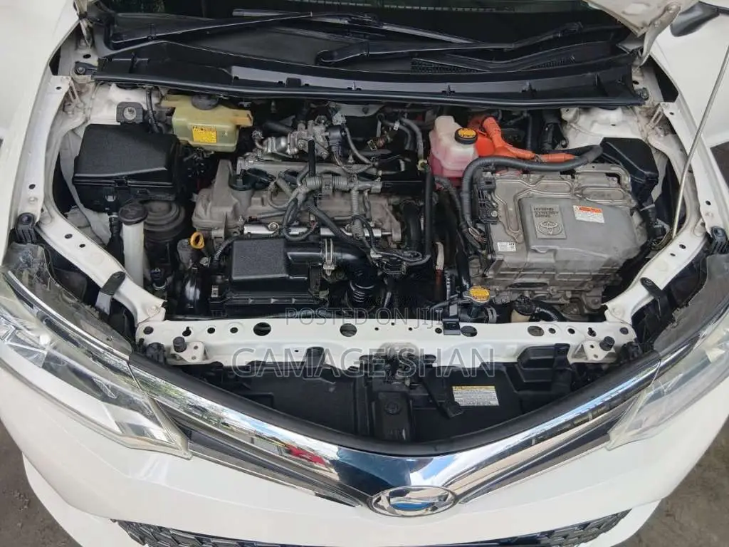 Toyota Axio 2015 Car (Used)