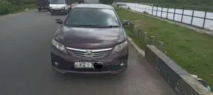 Toyota Allion 2010 Car (Used)