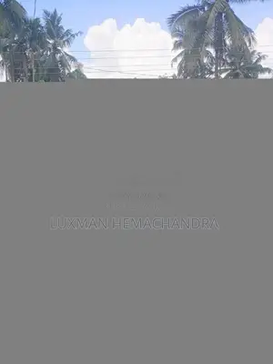 Suzuki Alto 2017 Car (Used)