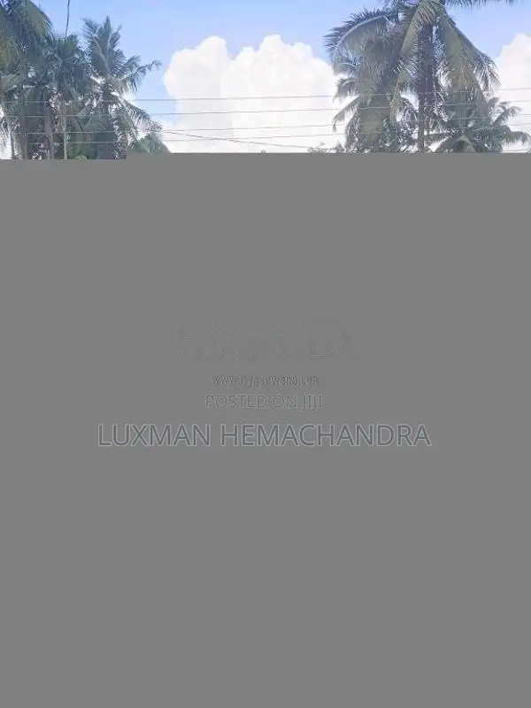 Suzuki Alto 2017 Car (Used)