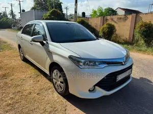 Toyota Axio 2015 Car (Used)