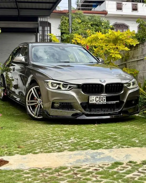 BMW 318i 2019 Car (Used)