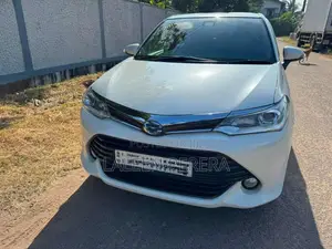 Toyota Axio 2015 Car (Used)