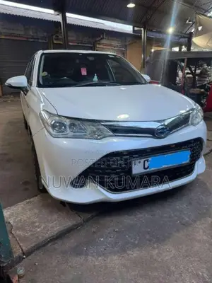 Toyota Axio 2015 Car (Used)