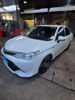 Toyota Axio 2015 Car (Used)