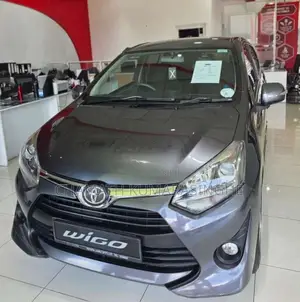 Toyota Wigo 2019 Car (Used)