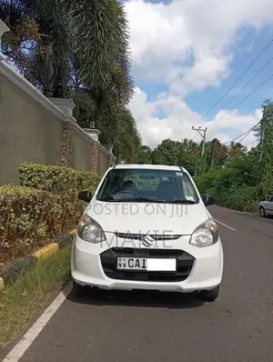 Suzuki Alto 2015 Car (Used)