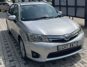 Toyota Axio 2014 Car (Used)