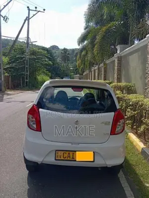 Suzuki Alto 2015 Car (Used)