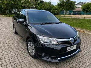 Toyota Axio 2013 Car (Used)