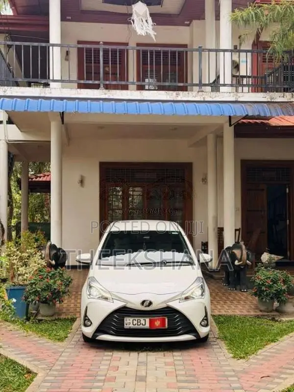 Toyota Vitz 2019 Car (Used)