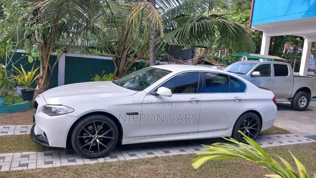 BMW 520D 2013 Car (Used)