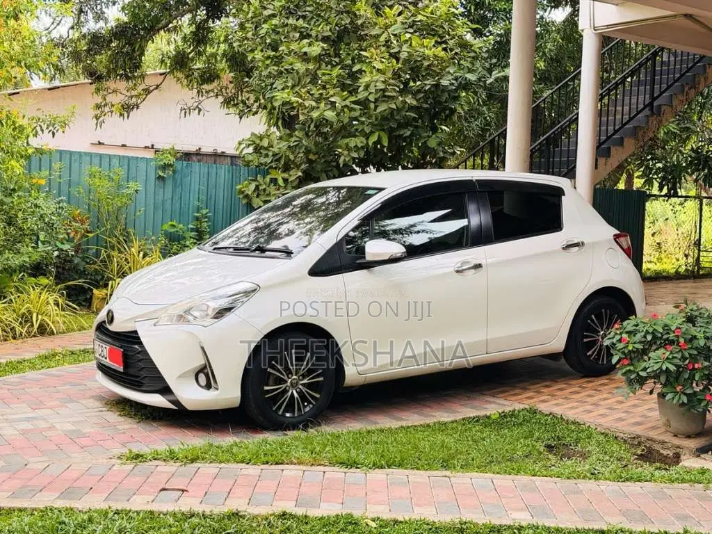 Toyota Vitz 2019 Car (Used)