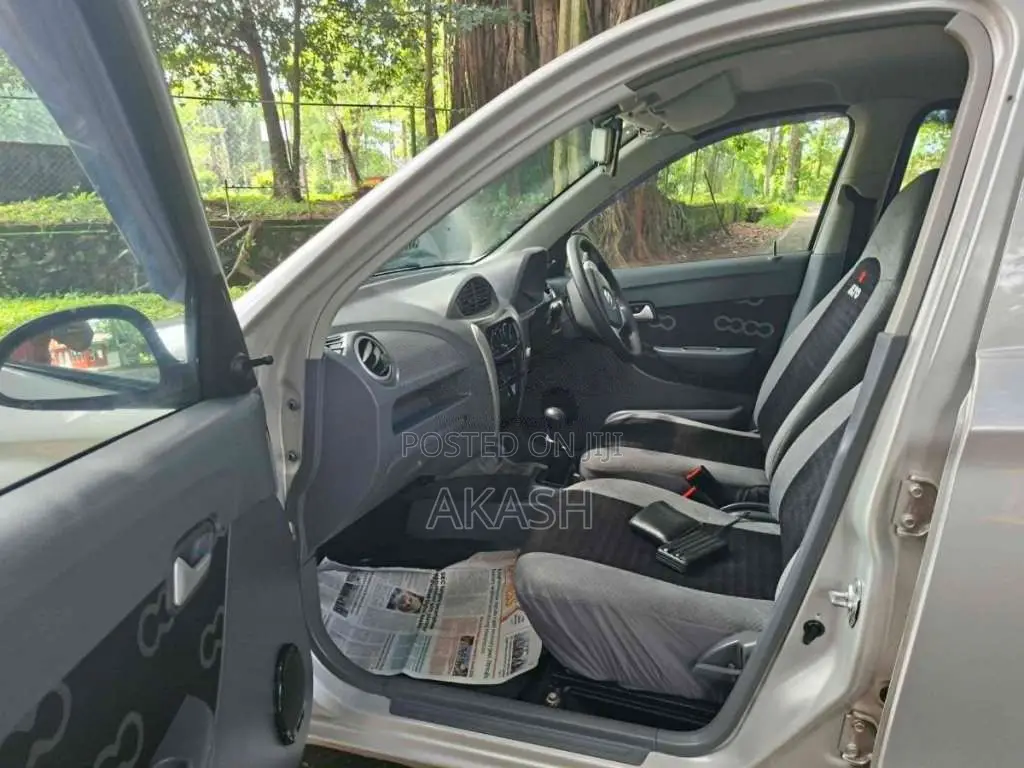 Suzuki Alto 2015 Car (Used)