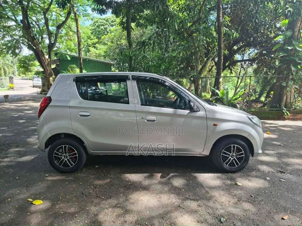 Suzuki Alto 2015 Car (Used)