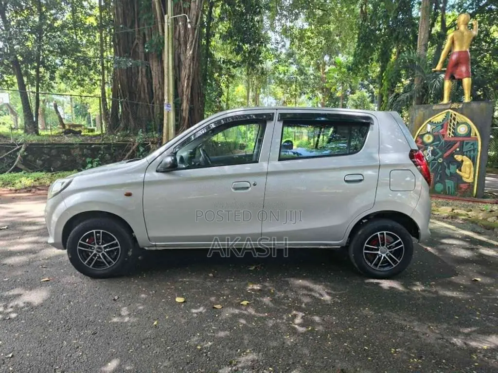 Suzuki Alto 2015 Car (Used)