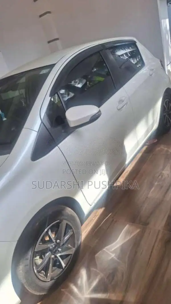 Toyota Vitz 2019 Car (Used)