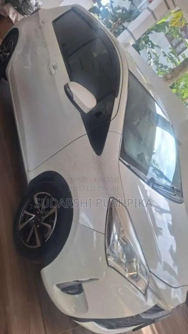 Toyota Vitz 2019 Car (Used)