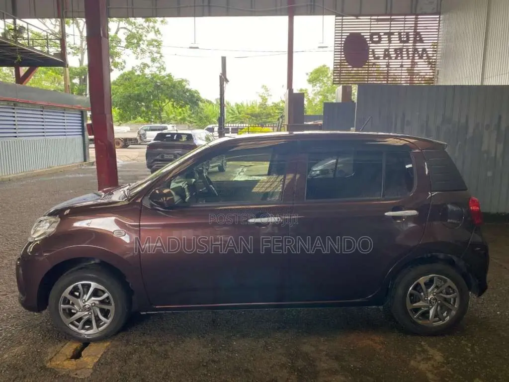 Toyota Passo 2023 Car (Used)