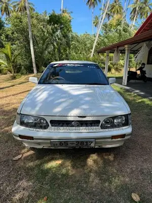Nissan Bluebird 1989 Car (Used)