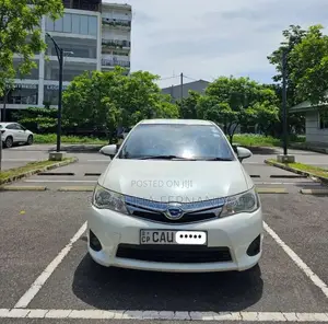 Toyota Axio 2014 Car (Used)