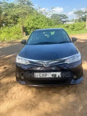 Toyota Axio 2016 Car (Used)