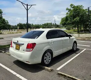 Toyota Axio 2014 Car (Used)