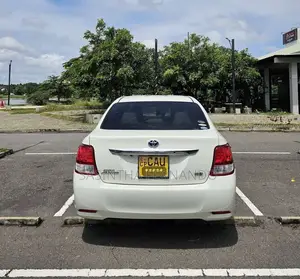 Toyota Axio 2014 Car (Used)