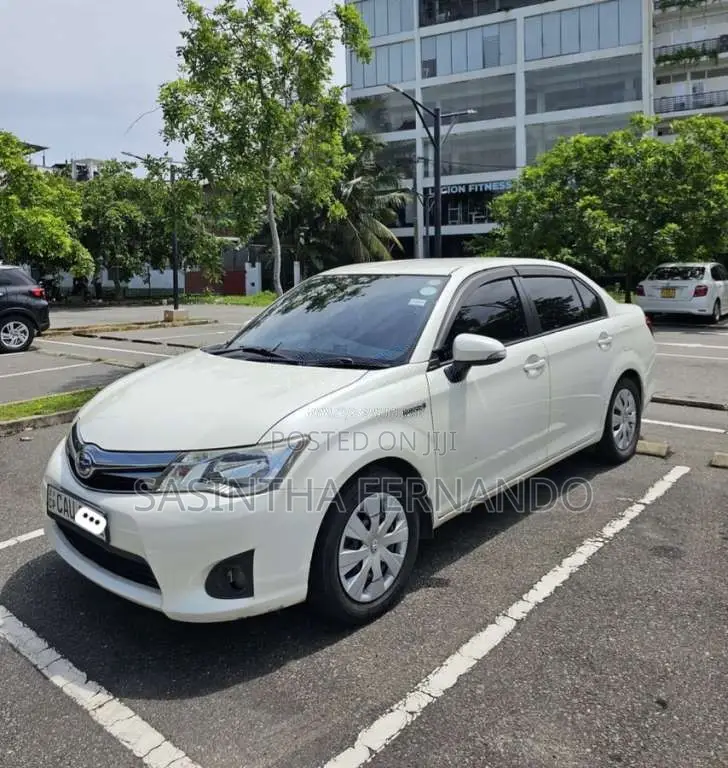 Toyota Axio 2014 Car (Used)