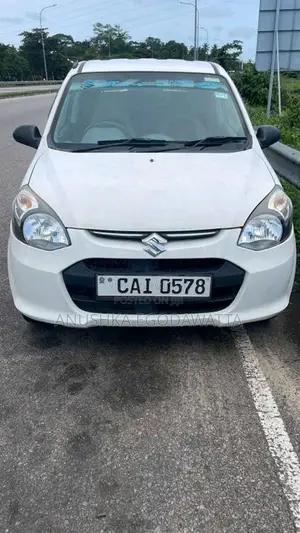 Suzuki Alto 2015 Car (Used)