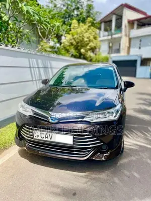 Toyota Axio 2016 Car (Used)