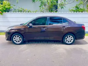 Toyota Axio 2016 Car (Used)