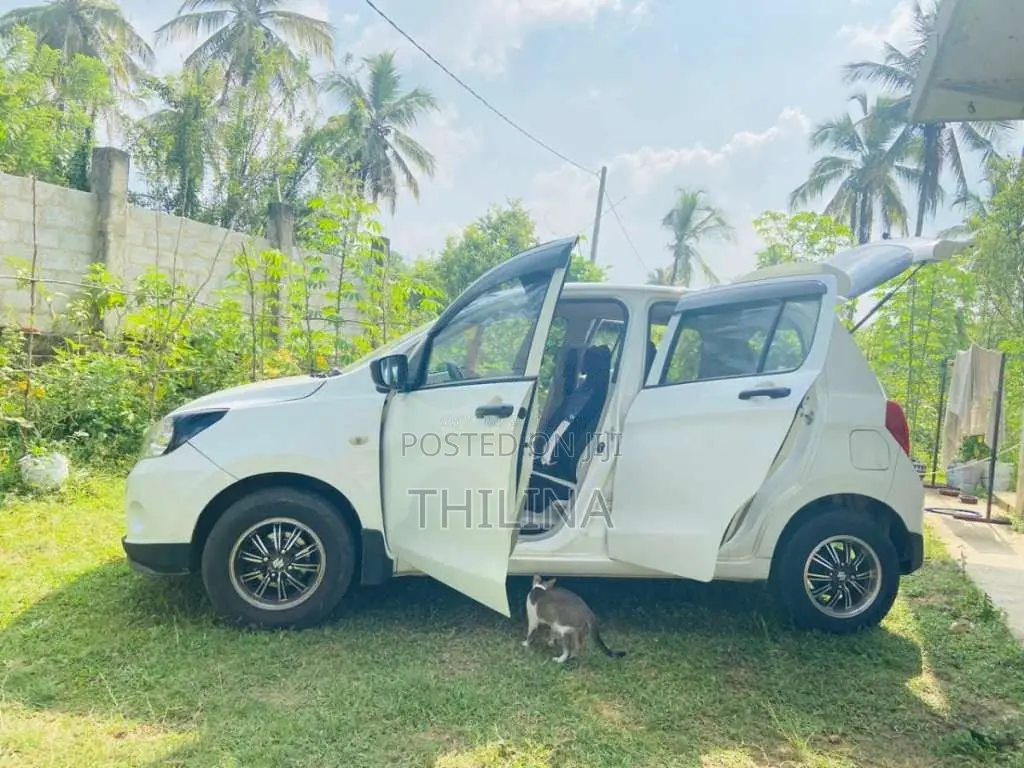 Suzuki Celerio 2015 Car (Used)