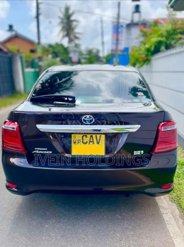 Toyota Axio 2016 Car (Used)